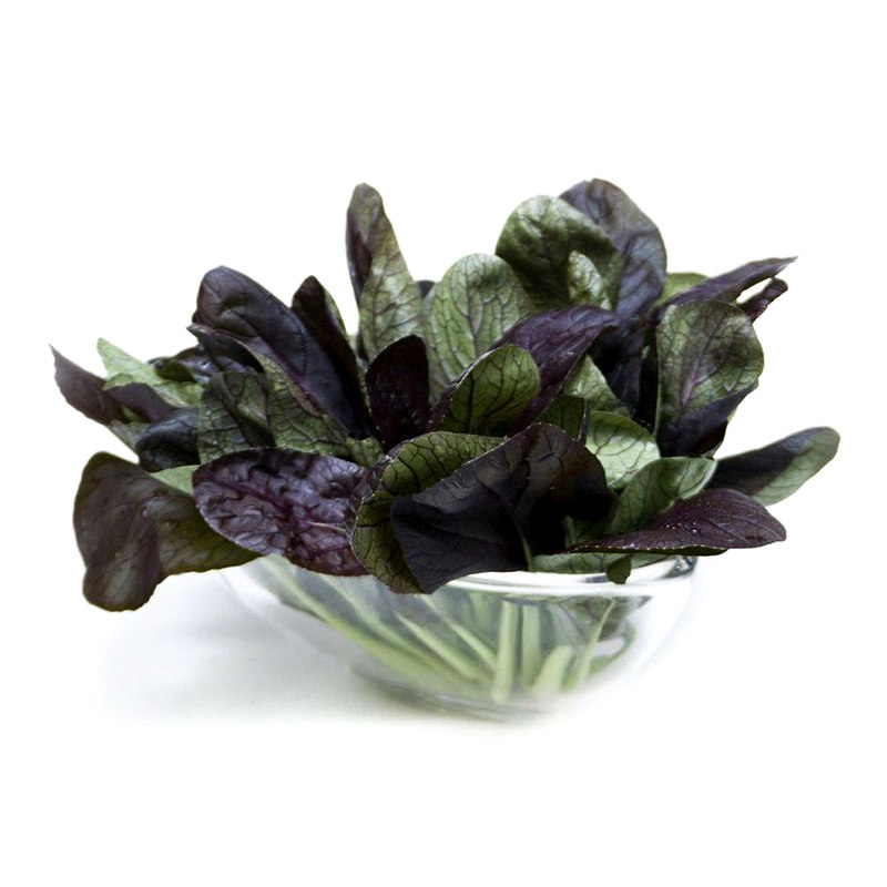 Семена фиолетовой рапса, семена молодого пак-чой, семена красного шанхайского пак-чой, овощные семена для осени и круглого сезона