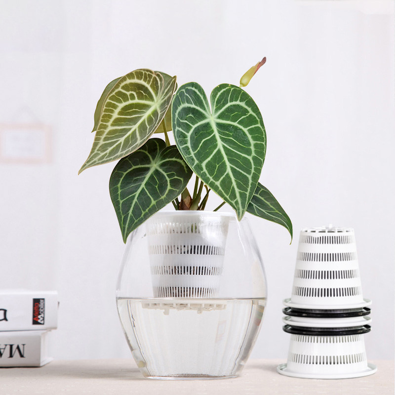 Гидропонная корзина для посадки Meishi, фиксатор корней, посадочный стакан, углубленный пластиковый гидропонный цветочный горшок