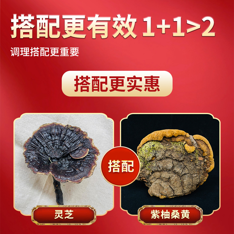 Тибетский дикий гриб Сангхуан Линчжи премиум класса, аутентичный с золотой каймой, Юньнань, целиком гриб Сангхуан