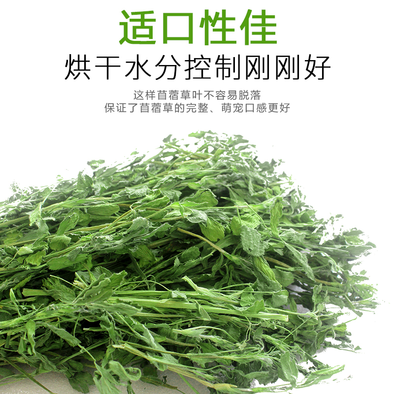 2024 люцерна синийцвет 1 кг для морских свинок, карликовых свинок, шиншилл, кроликов - корм и сухое сено