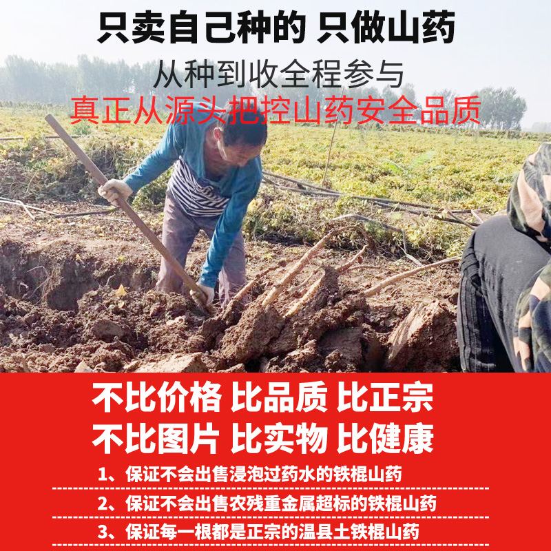 Аутентичный местный фермерский железный батон ямс свежий Хуай ямс ломтики 5 цзинь из Хэнань Цзяочжоу