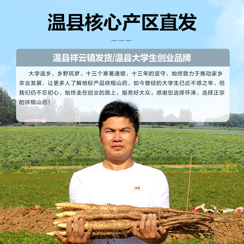 Ямс Хуайтaо типа铁棍, подлинный почвенный ямс из Вэньсянь, Цзяоцзо, Хэнань, свежий, 5 цзинь