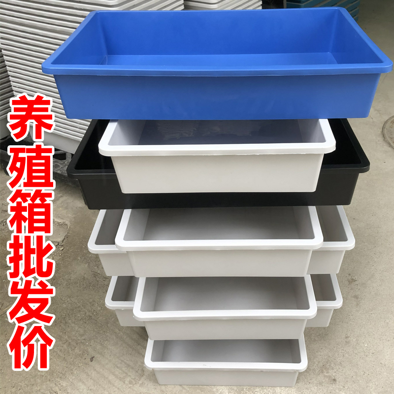 超长白色塑料箱周转筐长方形加厚乌龟缸养殖箱子养龟养鱼过滤盒子