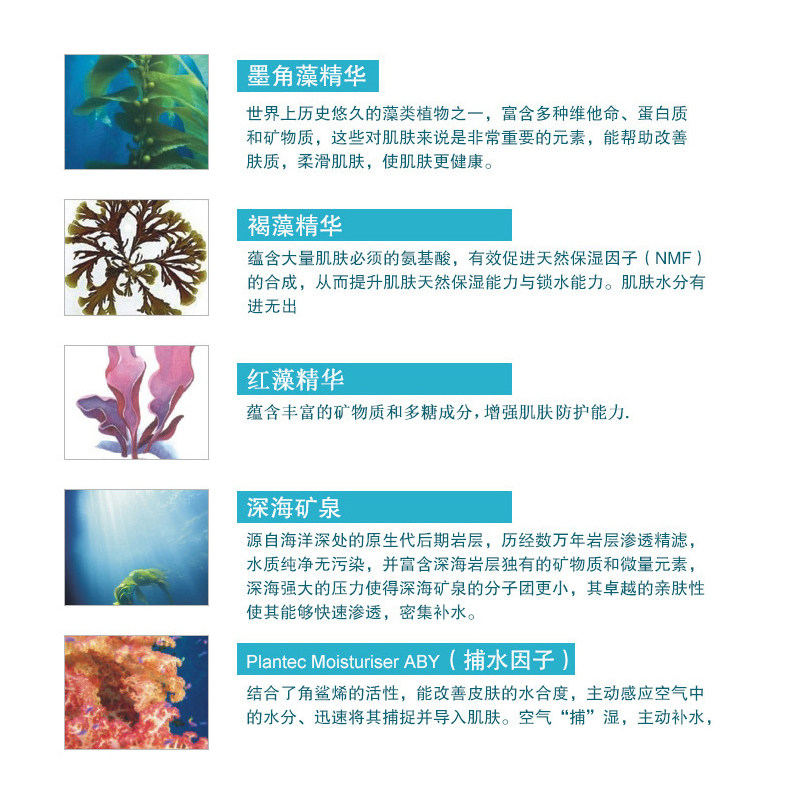 水密码妙肌BB裸妆霜30g隔离遮瑕不易脱妆抗皱紧致补水保湿正品女