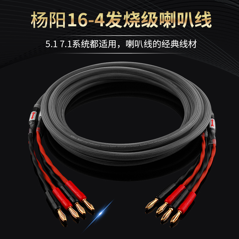 Тайваньский аудиофильский основной акустический кабель YangYang из чистой меди HIFI, соединительный кабель передней окружной акустики и усилителя
