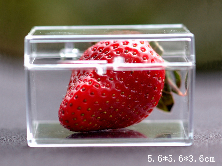Прозрачная коробка из ПК пластика для хранения Квадратная коробка для образцов, дисплея и коллекции Утолщённая с крышкой Средних и малых размеров
