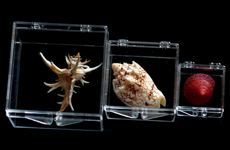 Прозрачная коробка из ПК пластика для хранения Квадратная коробка для образцов, дисплея и коллекции Утолщённая с крышкой Средних и малых размеров