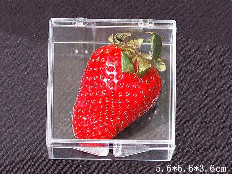 Прозрачная коробка из ПК пластика для хранения Квадратная коробка для образцов, дисплея и коллекции Утолщённая с крышкой Средних и малых размеров
