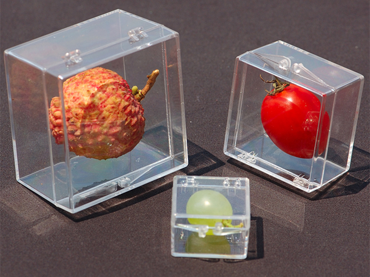 Прозрачная коробка из ПК пластика для хранения Квадратная коробка для образцов, дисплея и коллекции Утолщённая с крышкой Средних и малых размеров