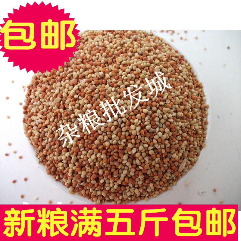 Red and Yellow Millet with Husk Mixed Grains Parrot Hamster Pigeon Bird Food Feed 1 pack=500g
