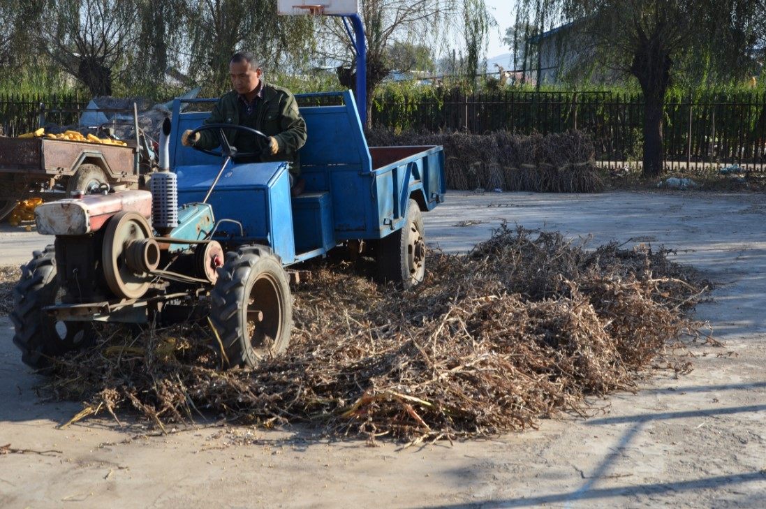 Соевые бобы с Северо-Востока / Смесь зерновых круп, крупяное молоко из соевых бобов, черные бобы для каши Лаба с машем, красной фасолью и ростками бобов