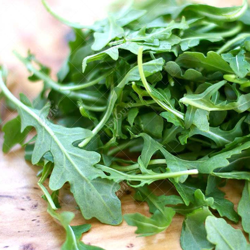 Семена рукколы, семена мелких зелёных овощей, семена салата ракеты, всесезонные семена овощей, семена для горшков, северо-восточные овощи с характерным запахом