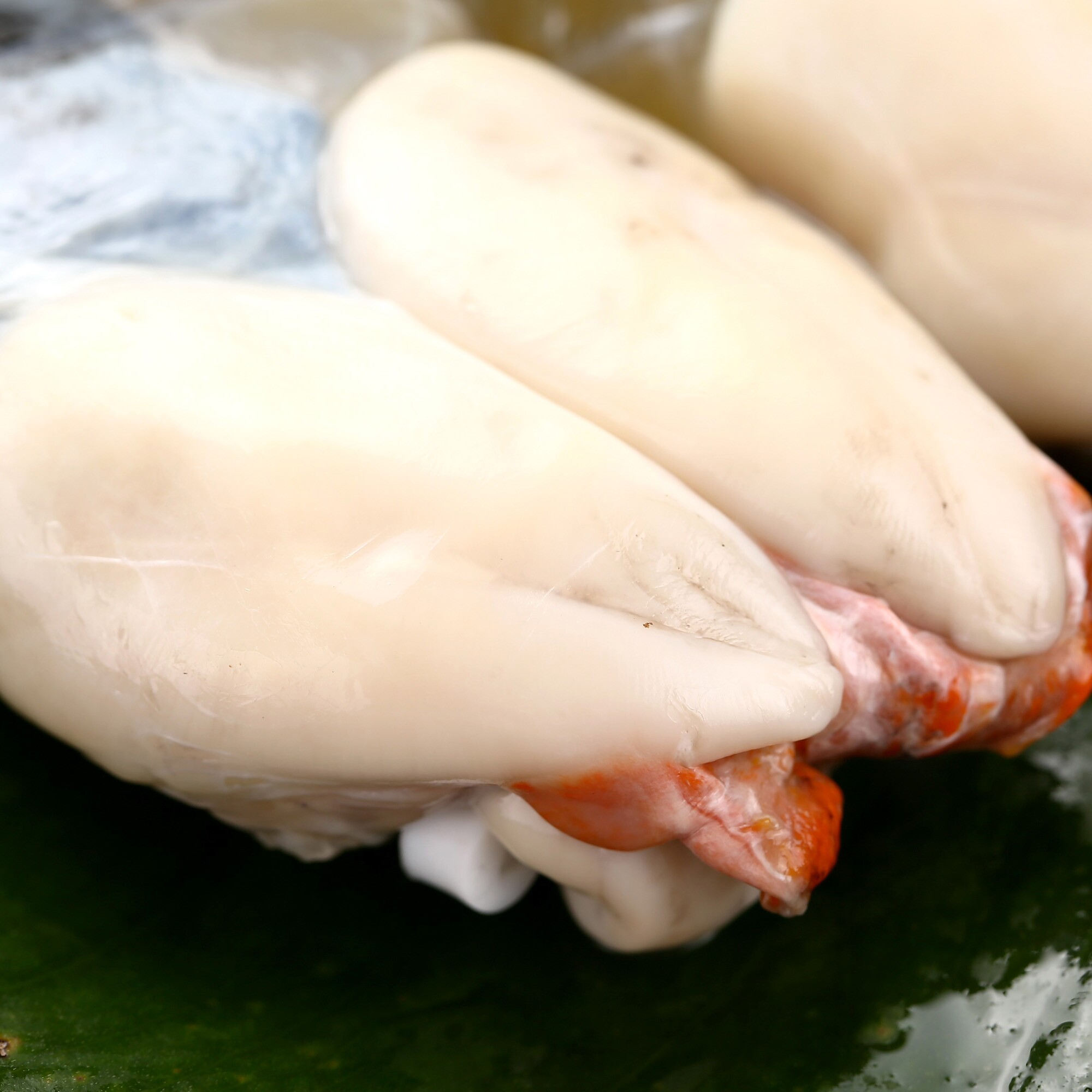 Свежие соленые яйца каракатицы, крупные яйца кальмара/яйца каракатицы с икрой, соленые сушеные морепродукты из Нинбо 500 г