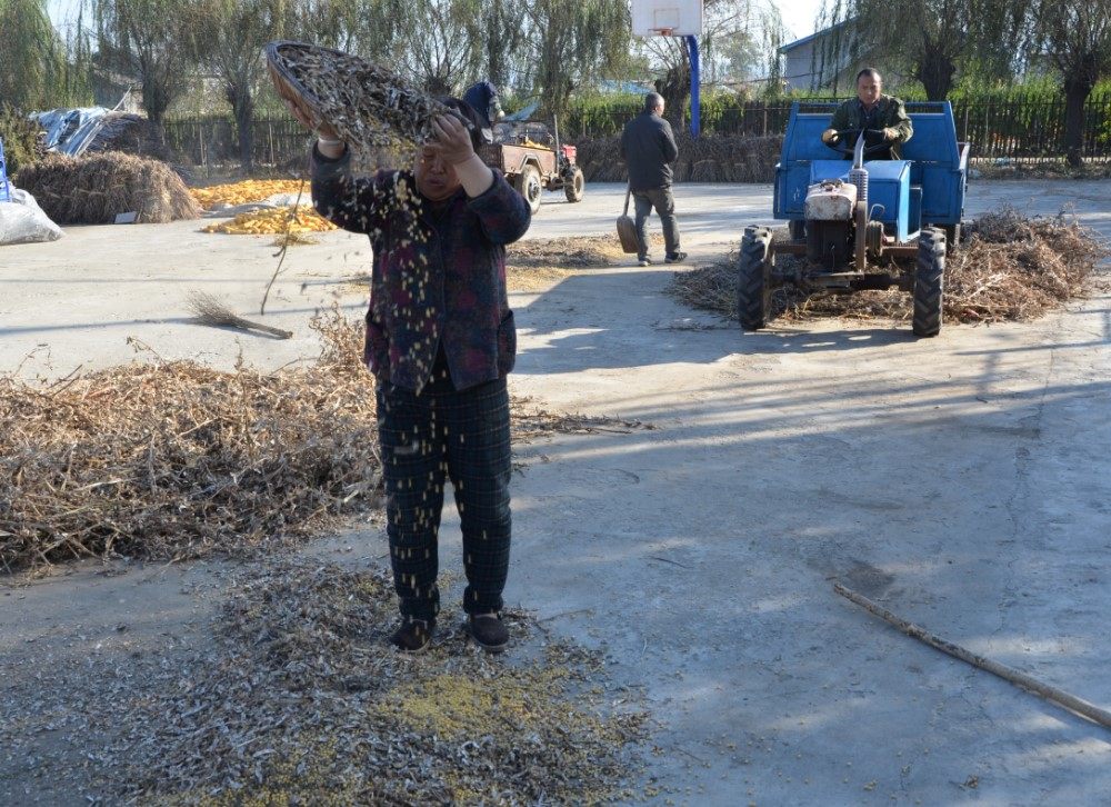 Соевые бобы с Северо-Востока / Смесь зерновых круп, крупяное молоко из соевых бобов, черные бобы для каши Лаба с машем, красной фасолью и ростками бобов