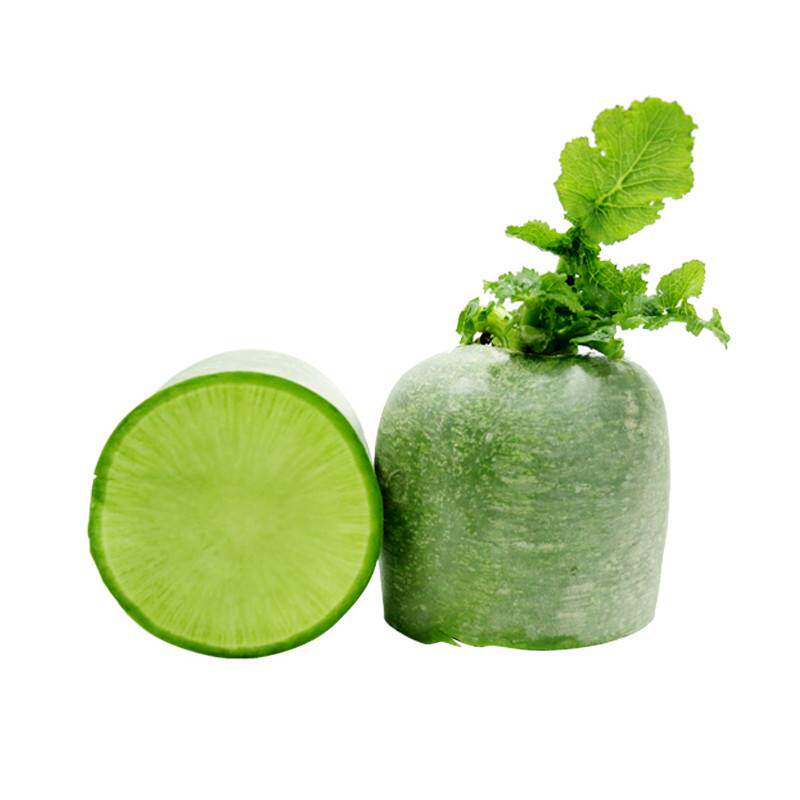 Семена зеленой редьки Шао из Тяньцзиня, полный ассортимент осенняя и всесезонная коллекция овощей с фермы Шаньдун