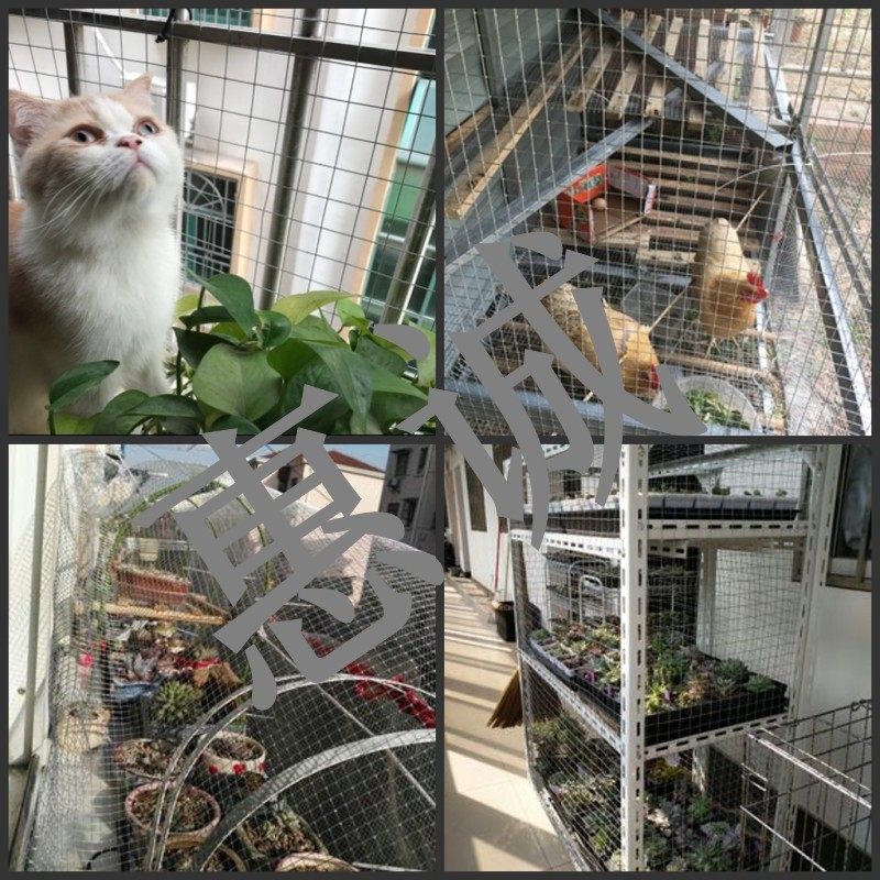 Оцинкованная сварная сетка, сетка для выращивания кур, антикоррозийная стальная сетка, сетка для оштукатуривания стен, балконные ограждения, защита от грызунов и кошек