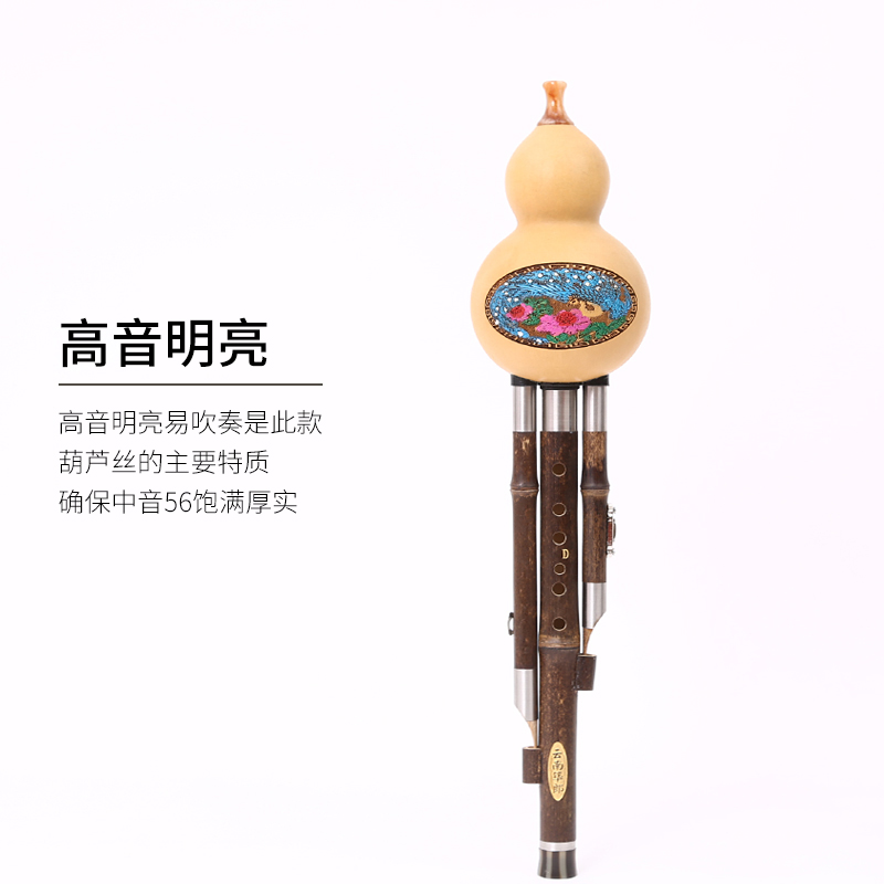 Музыкальный инструмент Хулуси для начинающих, модель для исполнения, из фиолетового бамбука, трехтоновый Хулуси в ключах C, Bb, F, G, Биларанг