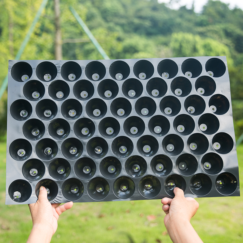 Пластиковая рассадная кассета с круглыми отверстиями PVC на 54, 60, 70 и 100 ячеек для табака, перца, арбуза и овощей