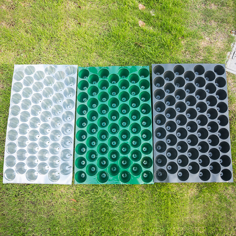 Пластиковая рассадная кассета с круглыми отверстиями PVC на 54, 60, 70 и 100 ячеек для табака, перца, арбуза и овощей