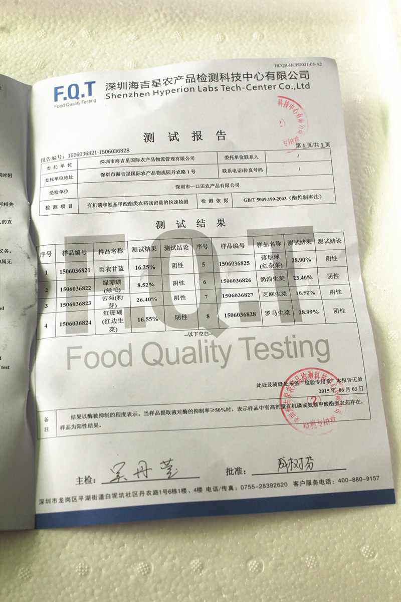 Гуандун, бесплатная доставка SF Express Зеленый рыхлый лист Зеленый коралл Зеленый ромэнский салат Салатный гарнир для западной кухни 300г/7 юаней