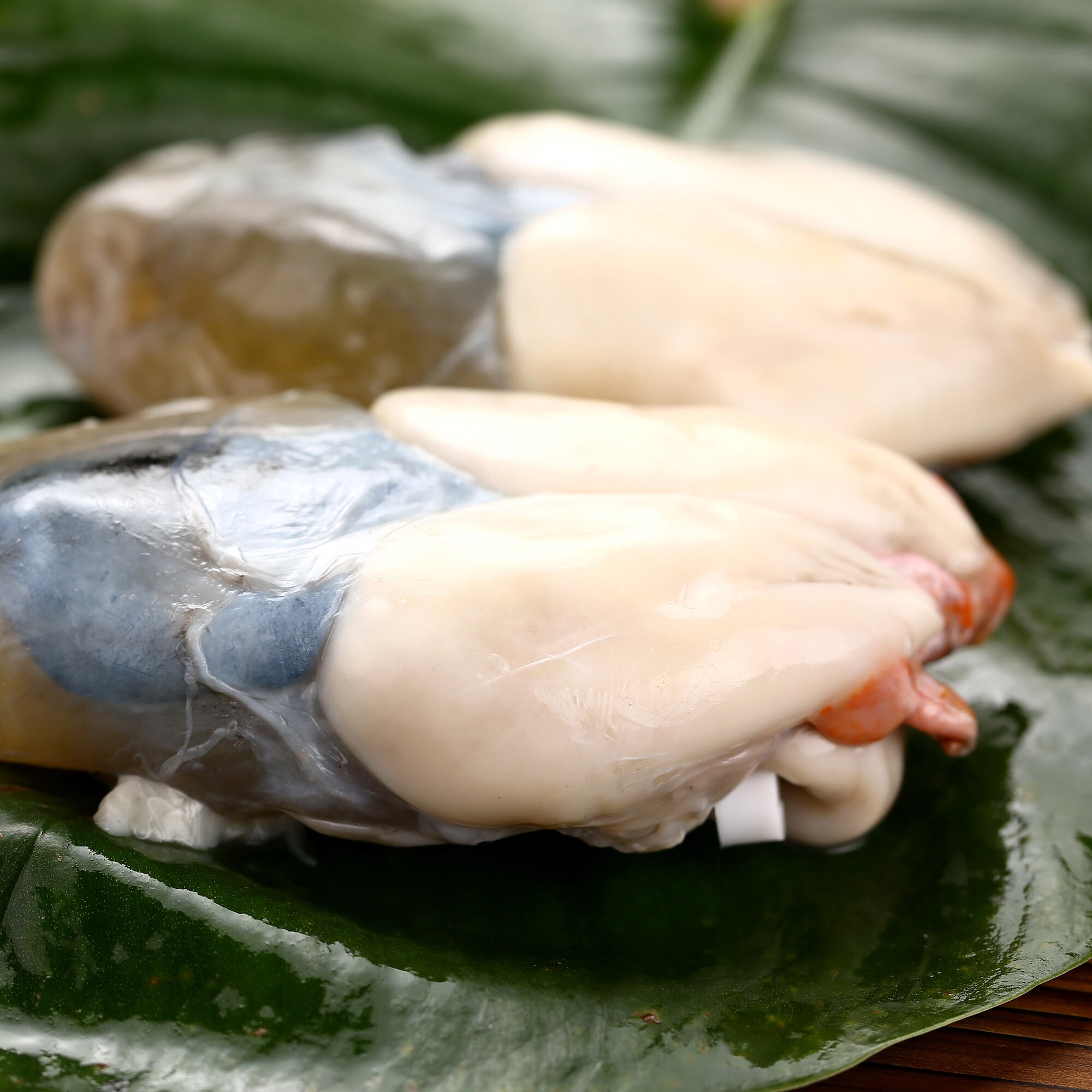 Свежие соленые яйца каракатицы, крупные яйца кальмара/яйца каракатицы с икрой, соленые сушеные морепродукты из Нинбо 500 г