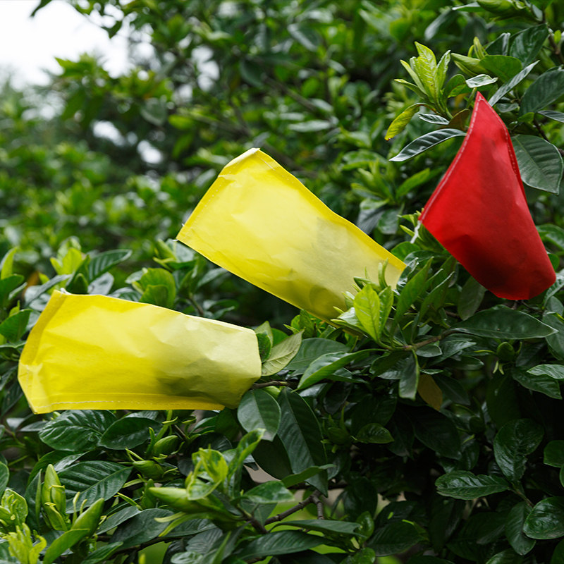 Пакеты из пергаментной бумаги/гибридные пакеты/сульфатные пакеты/пакеты для опыления/мешки для селекции (с швом) для кукурузы