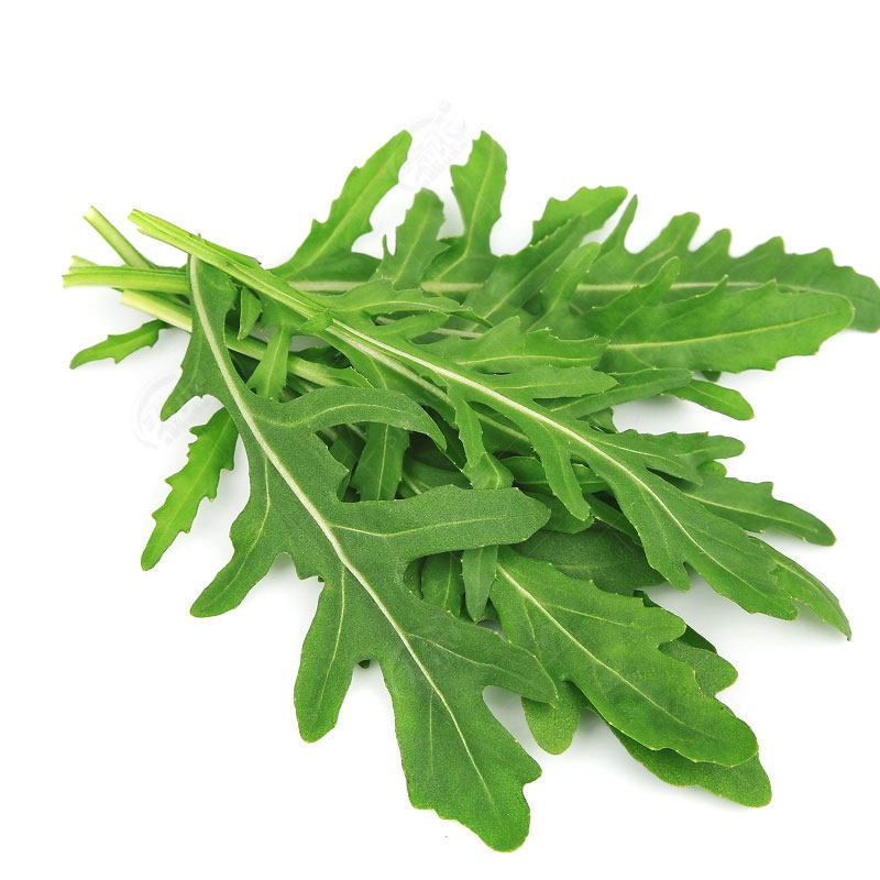 Семена рукколы, семена мелких зелёных овощей, семена салата ракеты, всесезонные семена овощей, семена для горшков, северо-восточные овощи с характерным запахом