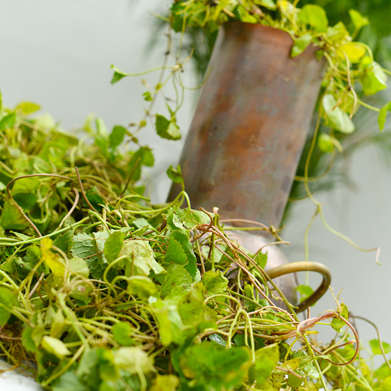 Гидролат центеллы азиатской Feizao Collect - высококонцентрированный увлажняющий и успокаивающий 240 мл