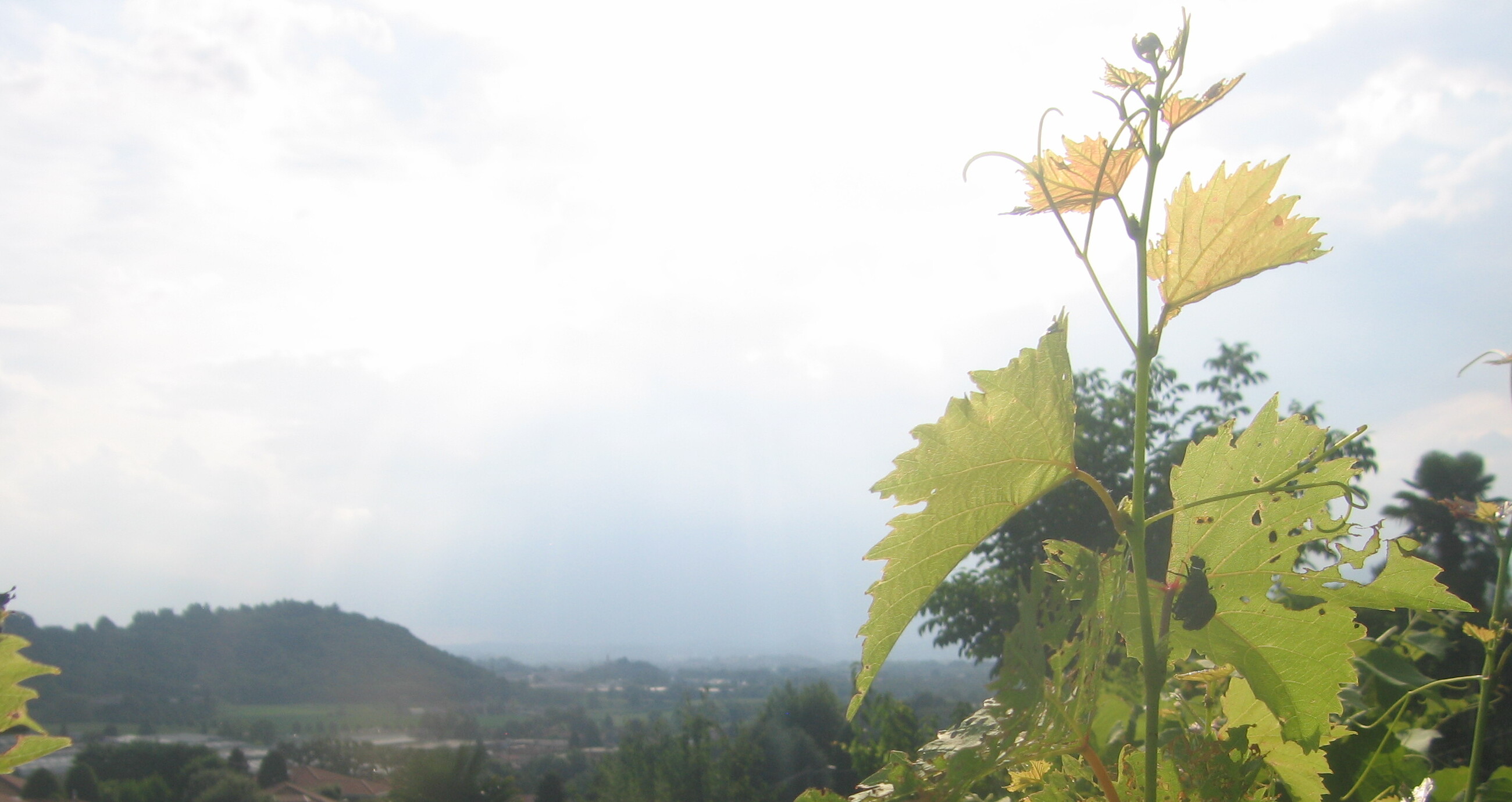 immagine della webcam nei dintorni di Monte Marenzo: webcam Oggiono