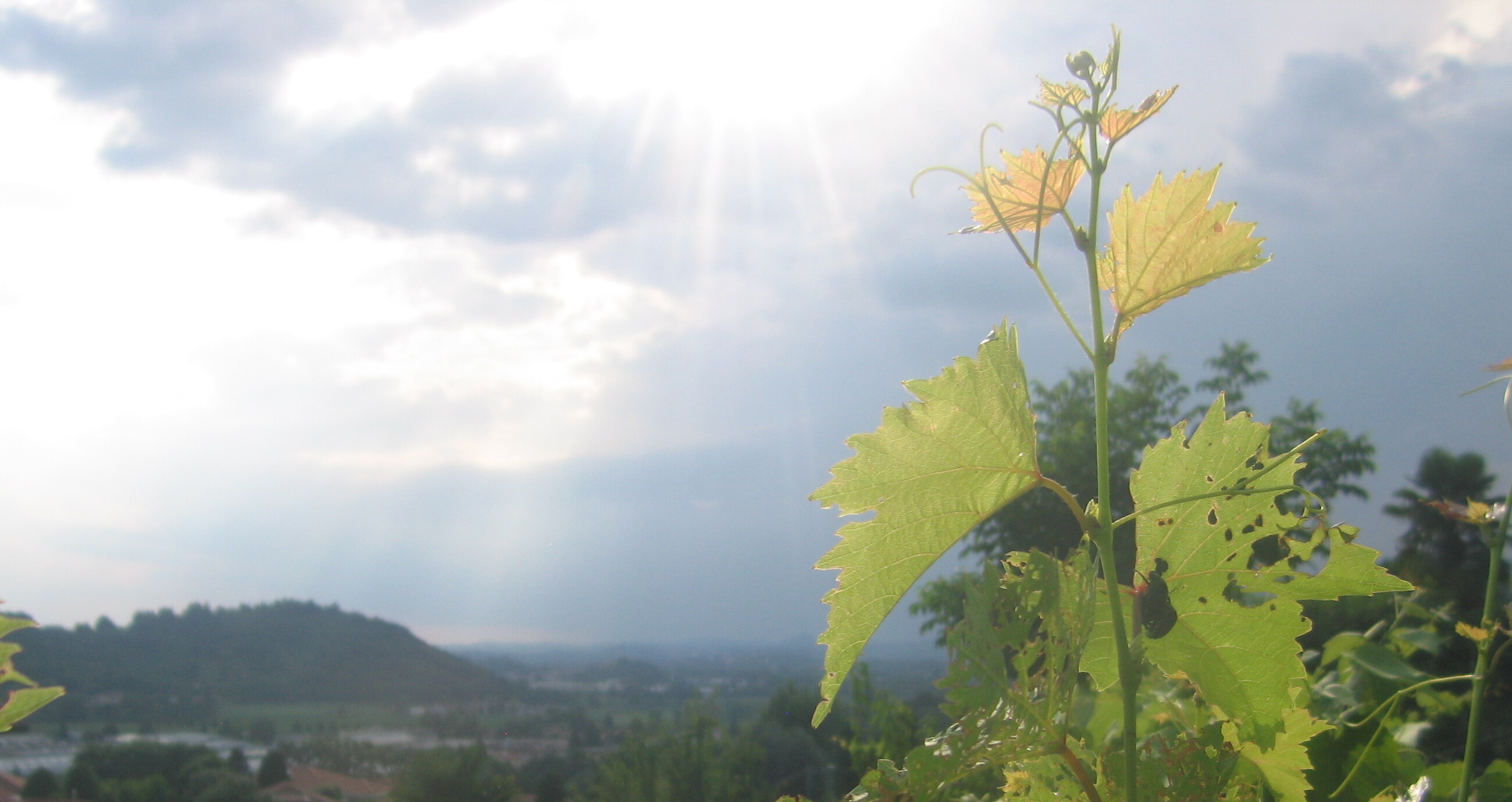 immagine della webcam nei dintorni di Cesana Brianza: webcam Oggiono