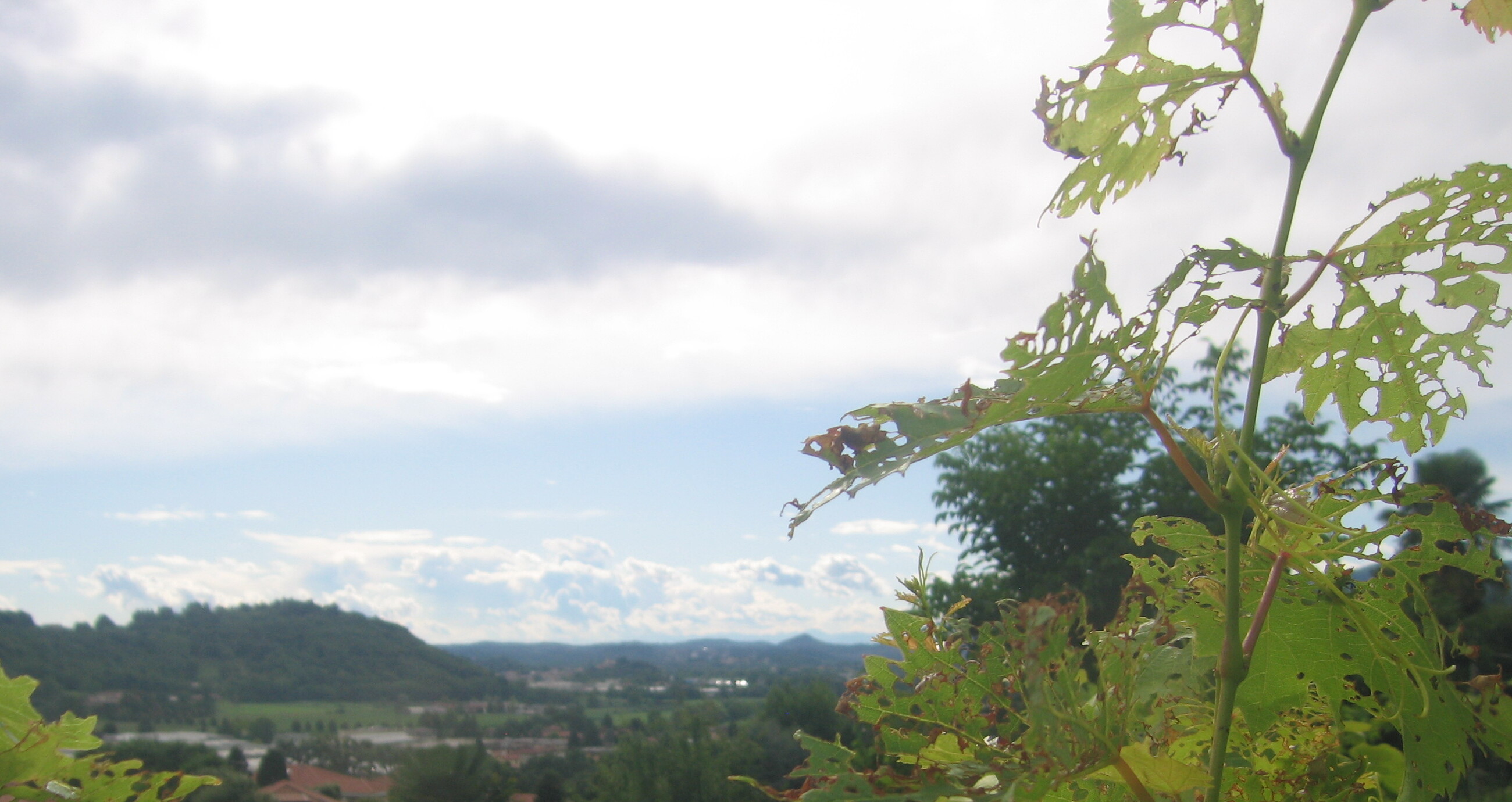 immagine della webcam nei dintorni di Piani d'Erna: webcam Oggiono