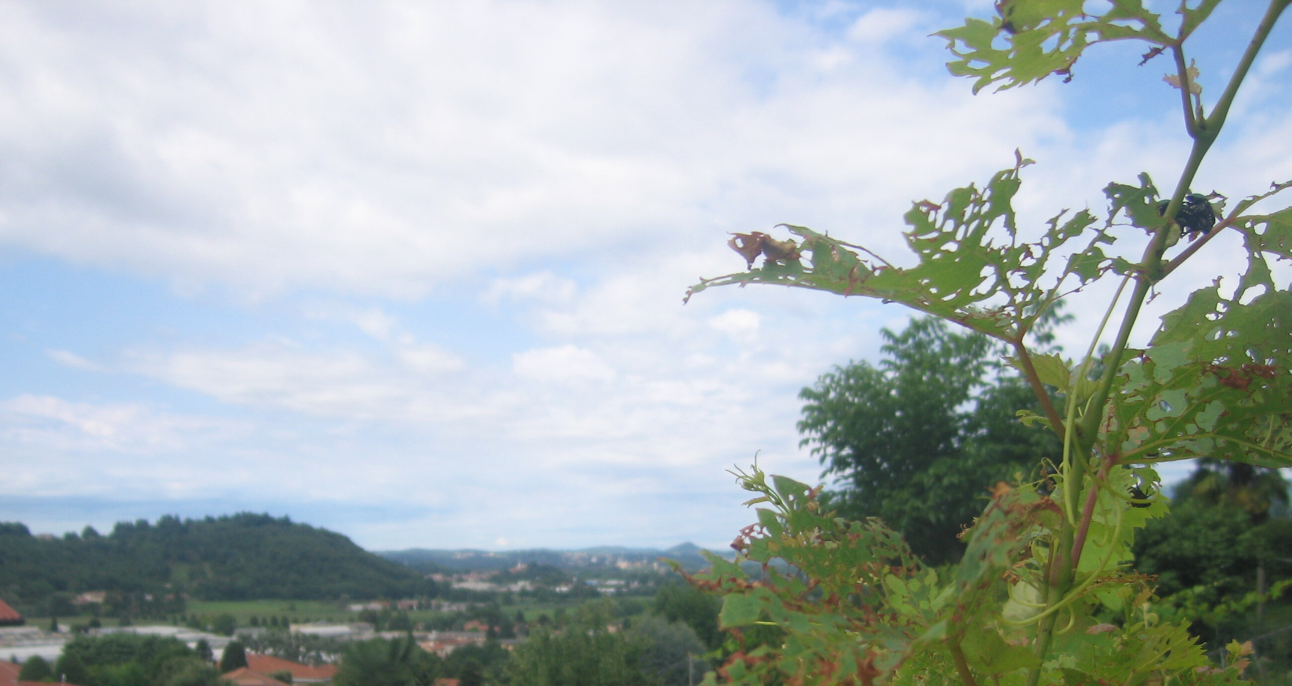 immagine della webcam nei dintorni di Valmadrera: webcam Oggiono